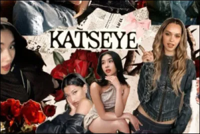 Quel groupe s�est form&eacute; &agrave; partir d�un programme s�inspirant des m&eacute;thodes cor&eacute;ennes ?