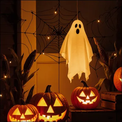 En quoi vous d&eacute;guisez-vous pour Halloween ? (2)