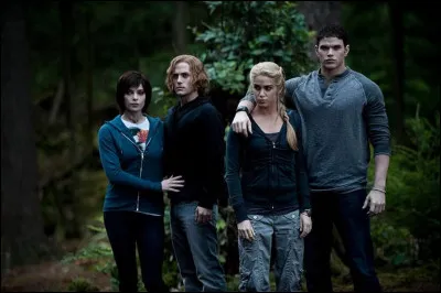 Dans quel Twilight retrouve-t-on cette image ?