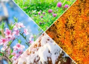 Test Quelle saison es-tu ?