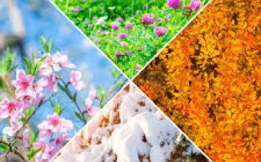 Quiz Test de personnalit�