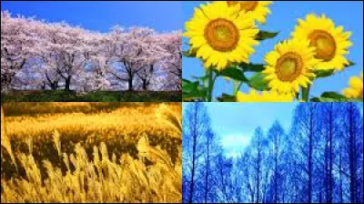 Pour commencer, quelle est ta saison pr&eacute;f&eacute;r&eacute;e ?