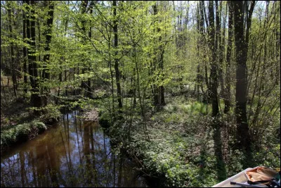 Instrument de taille.