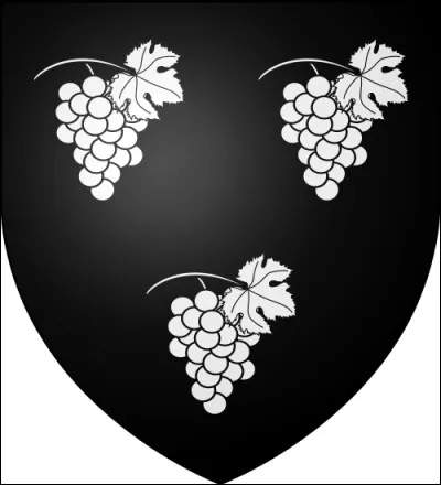 La rage des mots crois&eacute;s.