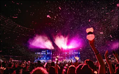 Pour finir le nom de leur fandom est ''les blinks'' :