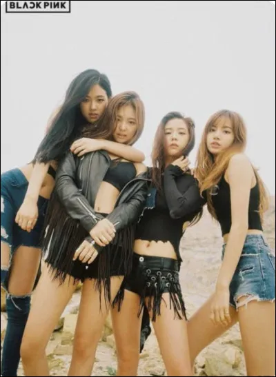 En quelle ann&eacute;e ont-elles d&eacute;but&eacute; ?