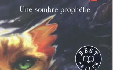 Quiz Test de personnalit�