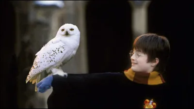 Quel est son animal de compagnie ?