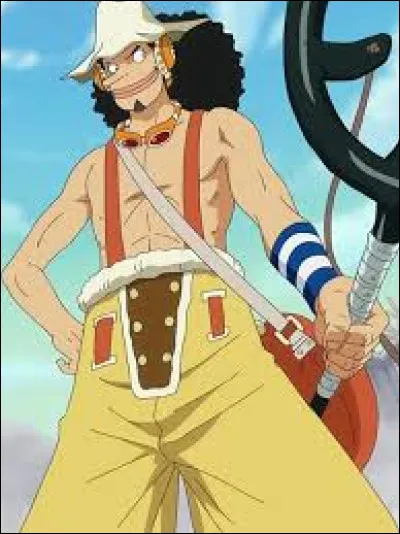 Quel poste occupe Usopp dans l'&eacute;quipage du Chapeau de paille ?