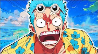 Qu'est devenu Franky apr&egrave;s s'&ecirc;tre soign&eacute; avec des pi&egrave;ces de m&eacute;tal ?