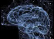 Quiz Tout sur tout 115