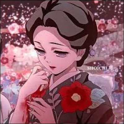 Quel arri&egrave;re-plan aimerais-tu ?