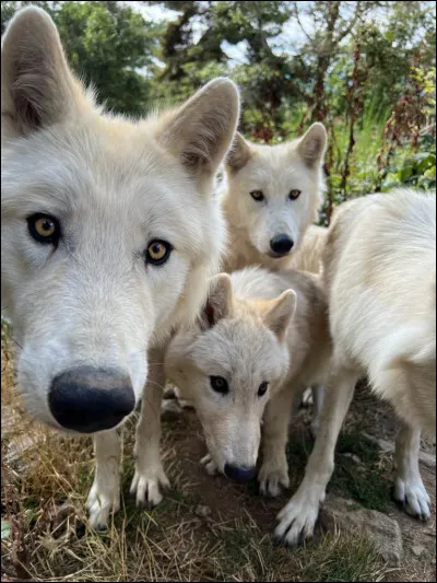 Ton caract&egrave;re, c'est plus...