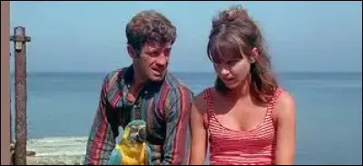 Quel mot manque-t-il dans le titre de ce film ?"Pierrot le ..."