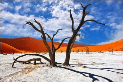 Ne r&eacute;glez pas le contraste de votre &eacute;cran, voici le Dead Vlei, le "marais mort". Paysage splendide et inqui&eacute;tant dans le d&eacute;sert du Namib. O&ugrave; suis-je ?