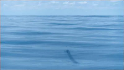 Quelle montagne ne se trouve pas en France ?