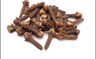 Quiz Culture g�n�rale