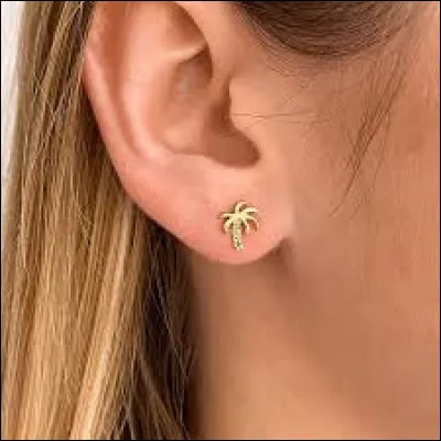 Quelle est l'autre nom du clou d'oreille, cette boucle d'oreille l&eacute;g&egrave;re et minimaliste ?