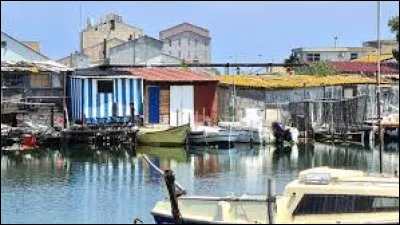 La Pointe courte est un film r&eacute;alis&eacute; en 1955 par une r&eacute;alisatrice &eacute;galement auteure de "Sans toit ni loi" en 1985 : laquelle ?