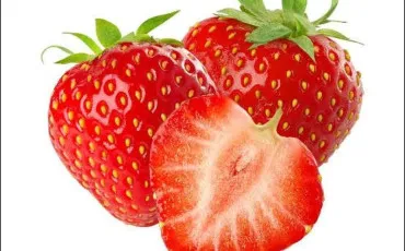 Quiz Notre plan�te