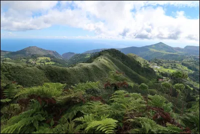 Qui a &eacute;t&eacute; exil&eacute; &agrave; Sainte-H&eacute;l&egrave;ne ?