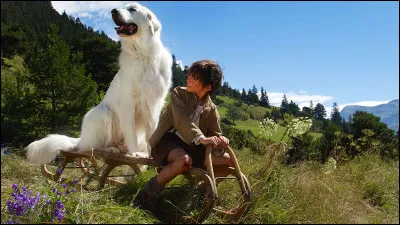 Quel est ce film tr&egrave;s c&eacute;l&egrave;bre mettant en sc&egrave;ne un petit gar&ccedil;on et une chienne blanche dans les montagnes ?