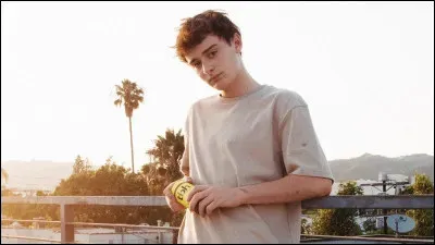 O&ugrave; vit Noah Schnapp ?