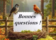 Quiz Bonnes questions de culture générale !