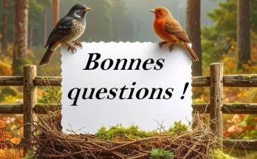 Quiz Culture générale