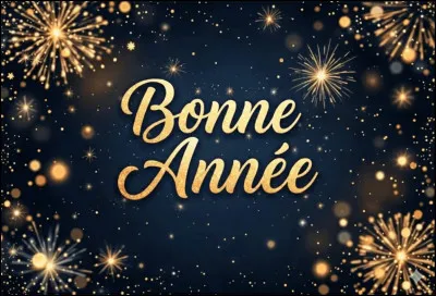 Dans le film de Claude Lelouch r&eacute;alis&eacute; en 1973, intitul&eacute; ''La Bonne Ann&eacute;e'', qui joue le r&ocirc;le du gangster ?