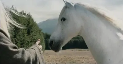 Quel h&eacute;ros de fiction chevauche Gripoil, surnomm&eacute; &laquo; le Seigneur de tous les chevaux &raquo; ?