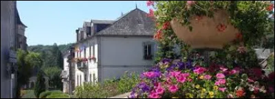 Commune d'Auvergne-Rh&ocirc;ne-Alpes, dans l'arrondissement de Mauriac, Champ-sur-Tarentaine-Marchal se situe dans le d&eacute;partement ...