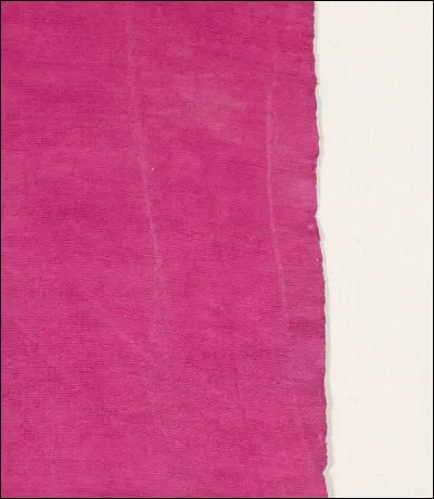 Quelle couleur appara&icirc;t sur l�image ?