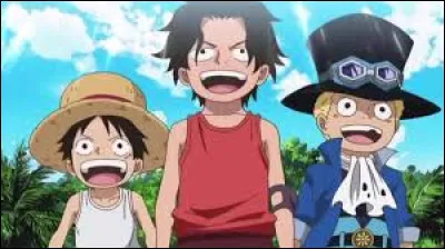 Qui sont les fr&egrave;res spirituels de Luffy ?