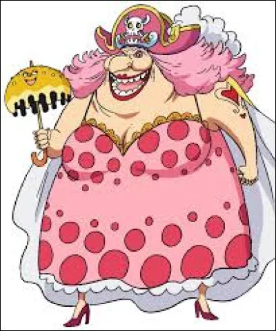 Comment s'appelle ce personnage de One Piece ?