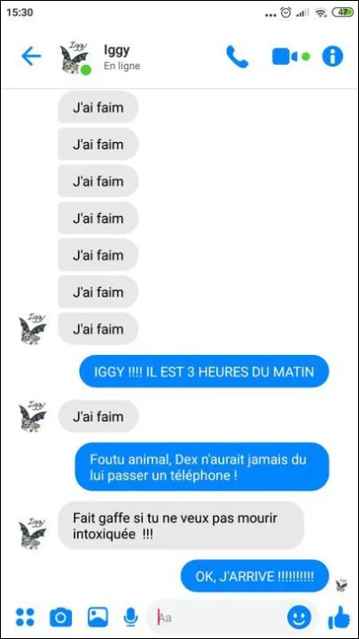 Comment s'appelle le lutin de Sophie ? (facile)