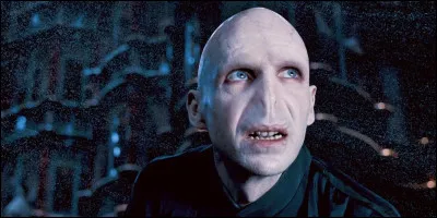 Qui est la fille de Voldemort ?