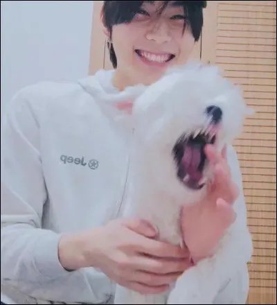 Et pour terminer, sauriez-vous me donner le nom du chien de Jungwon ?