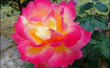 Quiz Culture g�n�rale