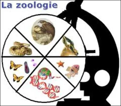 En zoologie, que d&eacute;signe un bouquet ?