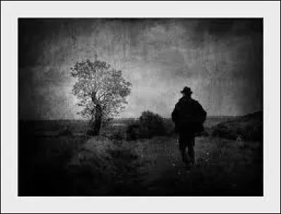 Dans le po&egrave;me "Demain d&egrave;s l'aube..." quel bouquet de fleurs d&eacute;pose Victor Hugo sur la tombe de sa fille ?