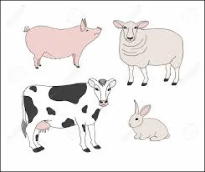 Quel animal m&acirc;le le terme "bouquet" d&eacute;signe-t-il ?