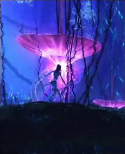 Comment s'appelle le clan de la For&ecirc;t ?