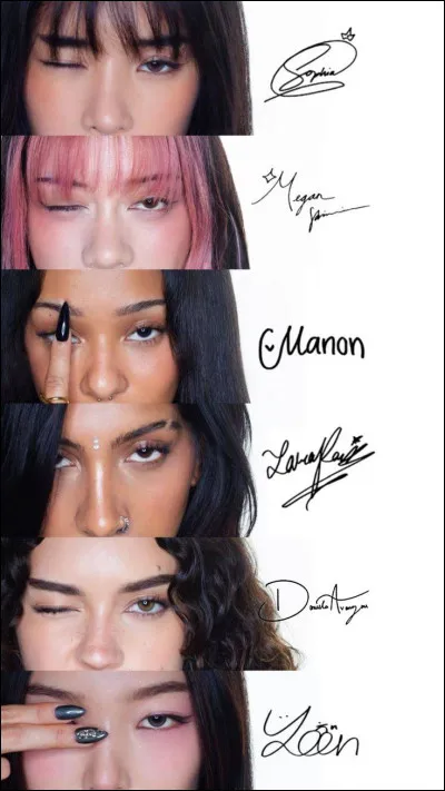 Si tu &eacute;tais dans un groupe, quel serait ton r&ocirc;le ?