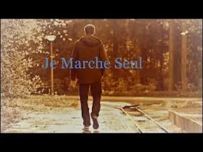 "Comme un bateau d&eacute;riveSans but et sans mobileJe marche dans la ville..."Qui est l'interpr&egrave;te ?