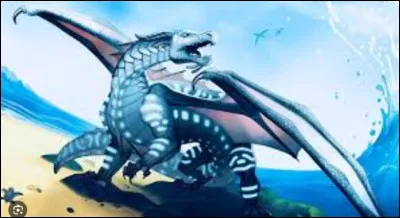 Quelle aptitude pr&eacute;f&eacute;rerais-tu avoir ?