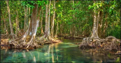 Dans quel climat aimerais-tu vivre ?