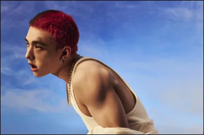 Qui est pr&eacute;sent sur l'image ?