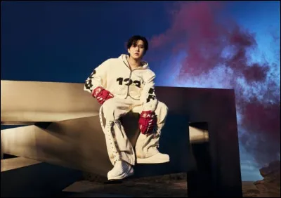 Qui est pr&eacute;sent sur l'image ?