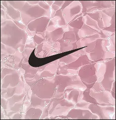 Quelle est cette marque ?